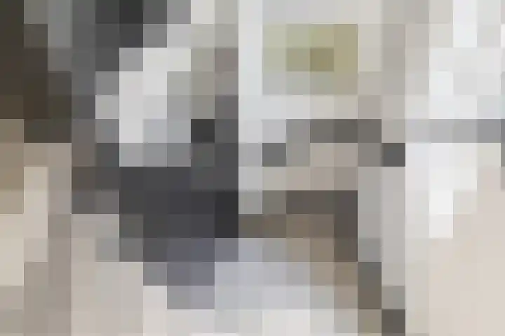 Prins Frederiklaan 16 Breda thumbnail 48