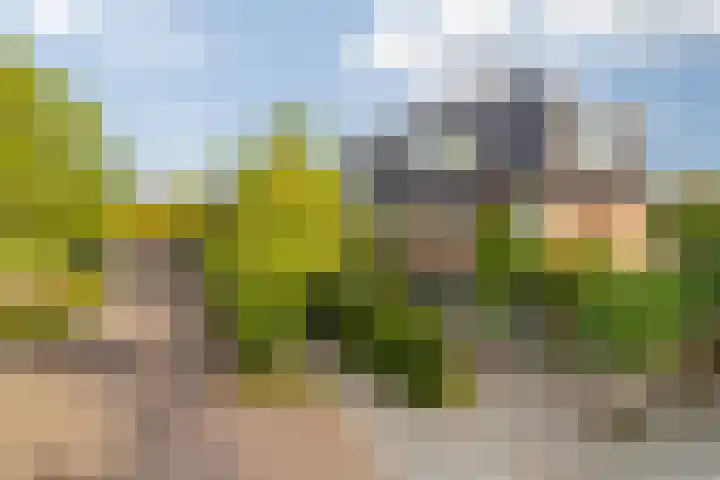 Prins Frederiklaan 16 Breda thumbnail 6