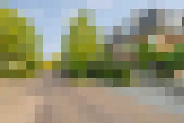 Prins Frederiklaan 16 Breda thumbnail 7