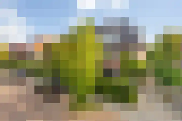 Prins Frederiklaan 16 Breda thumbnail 8