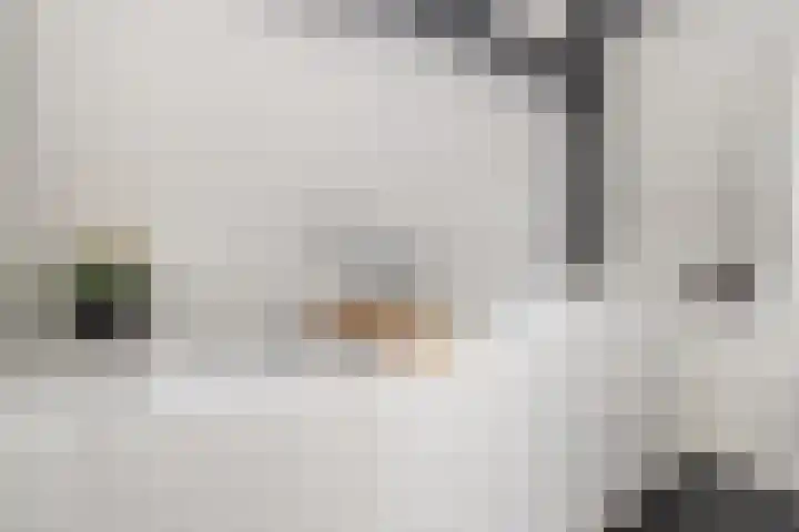Prins Frederiklaan 16 Breda thumbnail 88