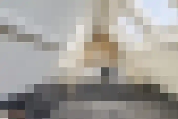 Prins Frederiklaan 16 Breda thumbnail 91