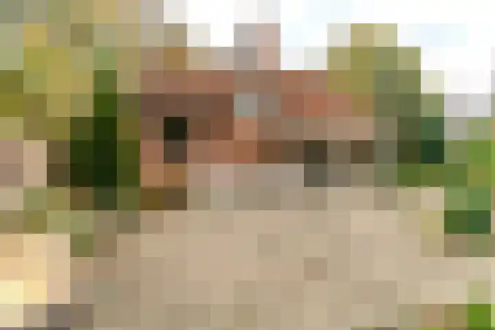 Prins Frederiklaan 18 A Wassenaar thumbnail 26