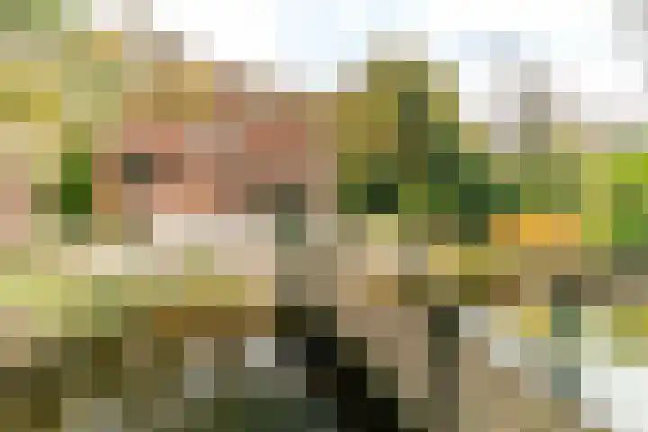 Prins Frederiklaan 18 A Wassenaar thumbnail 27