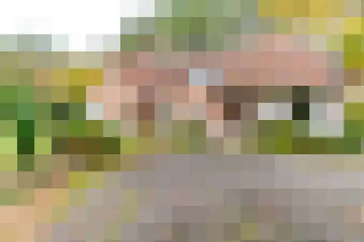 Prins Frederiklaan 18 A Wassenaar thumbnail 4