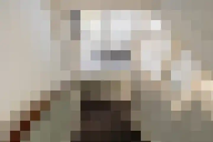 Prins Frederiklaan 26 Breda thumbnail 11