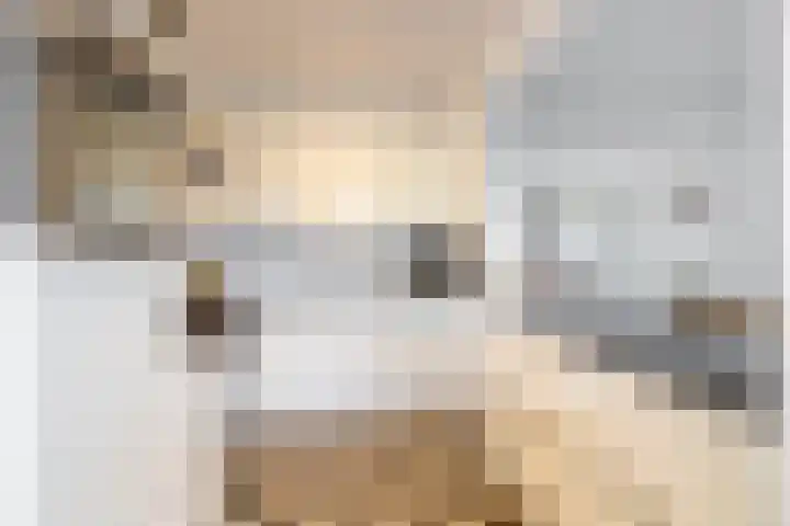 Prins Frederiklaan 26 Breda thumbnail 17