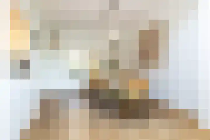 Prins Frederiklaan 26 Breda thumbnail 19