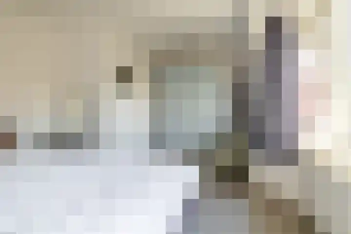 Prins Frederiklaan 26 Breda thumbnail 33