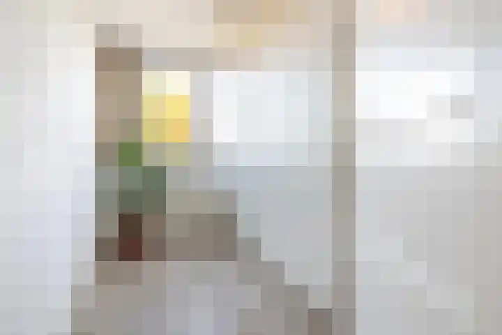Prins Frederiklaan 26 Breda thumbnail 39