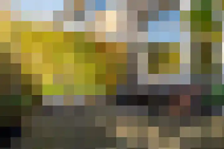 Prins Frederiklaan 26 Breda thumbnail 8