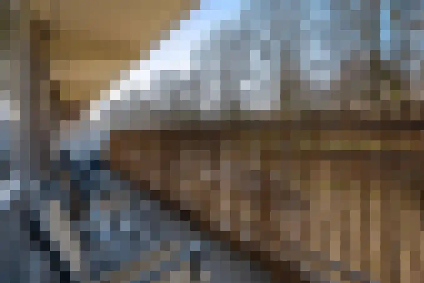 Prins Frederiklaan 280 Leidschendam foto 2