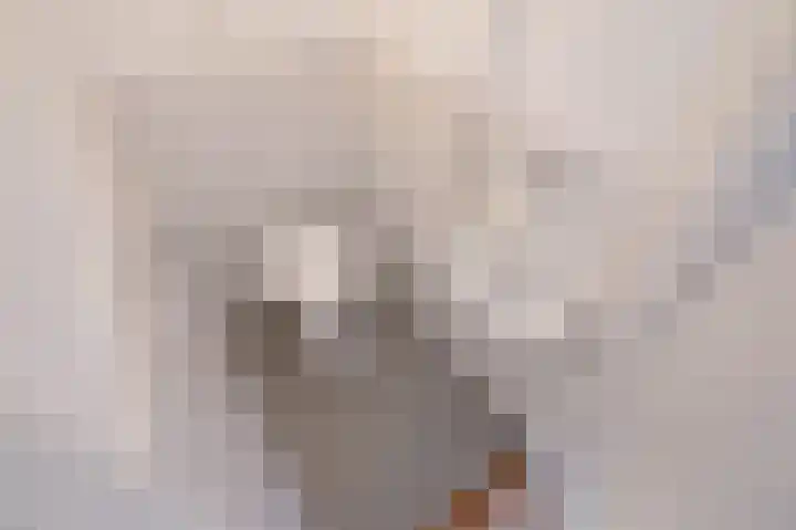 Prins Frederiklaan 300 Leidschendam thumbnail 10