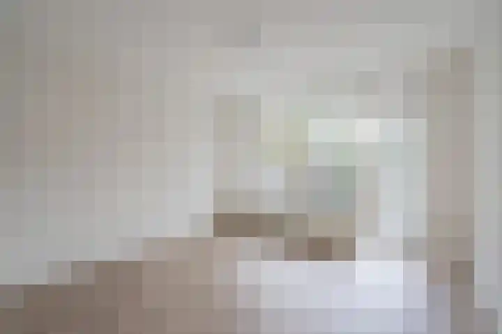Prins Frederiklaan 300 Leidschendam thumbnail 13