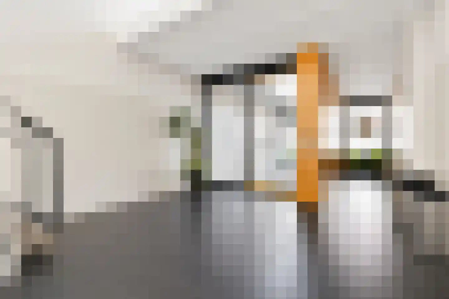 Prins Frederiklaan 301 Leidschendam thumbnail 22