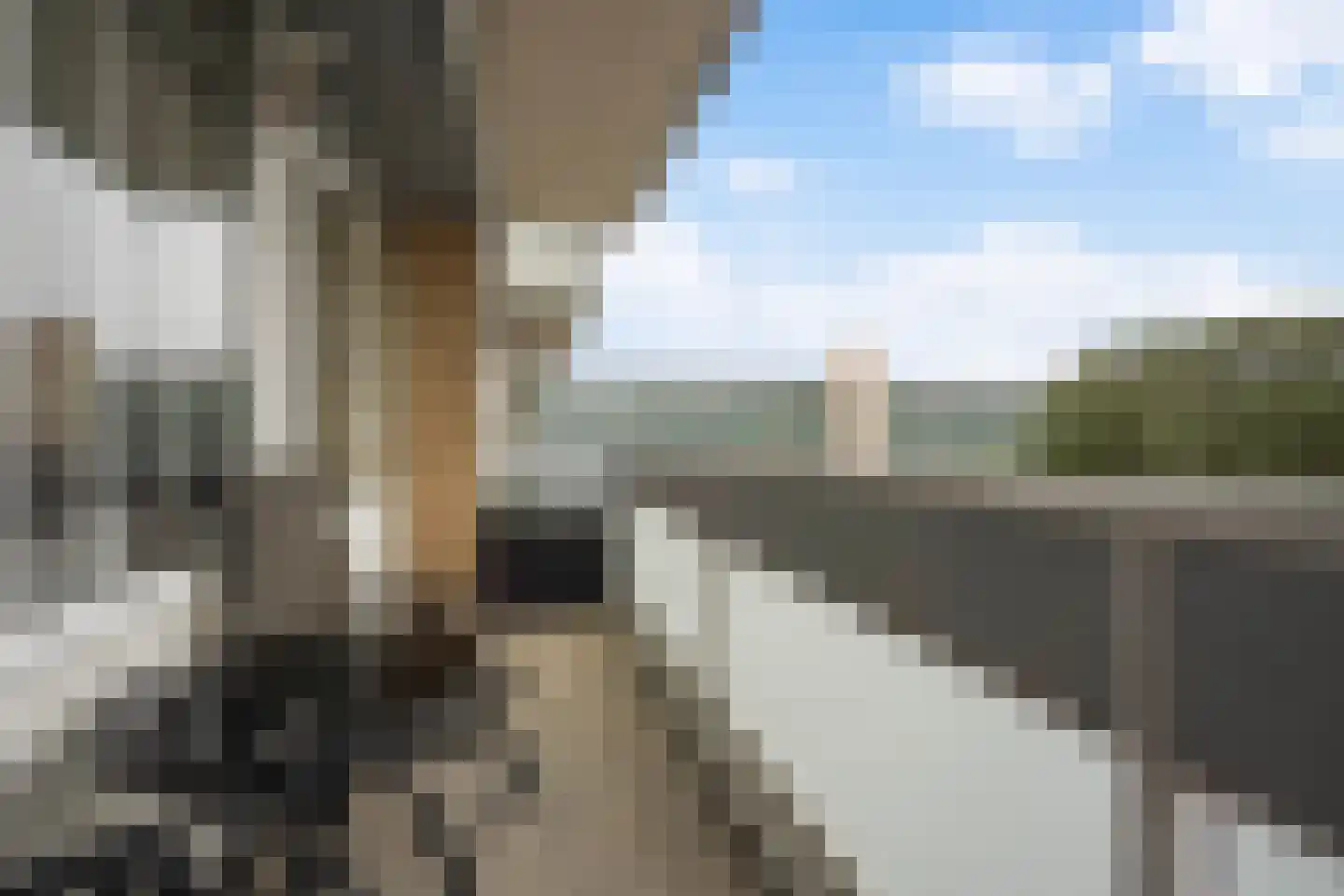 Prins Frederiklaan 321 Leidschendam thumbnail 25