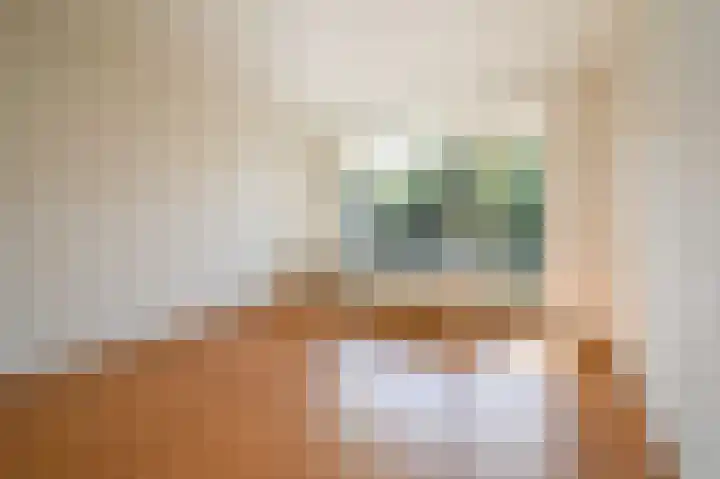 Prins Frederiklaan 420 Leidschendam thumbnail 21