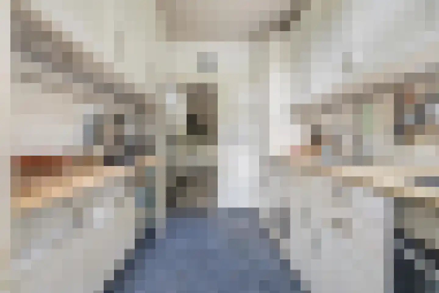 Prins Frederiklaan 46 Breda thumbnail 38
