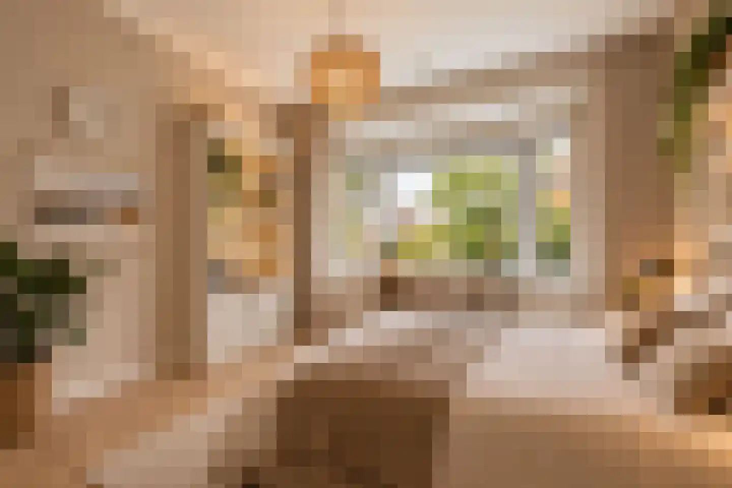 Prins Frederiklaan 46 Breda thumbnail 42