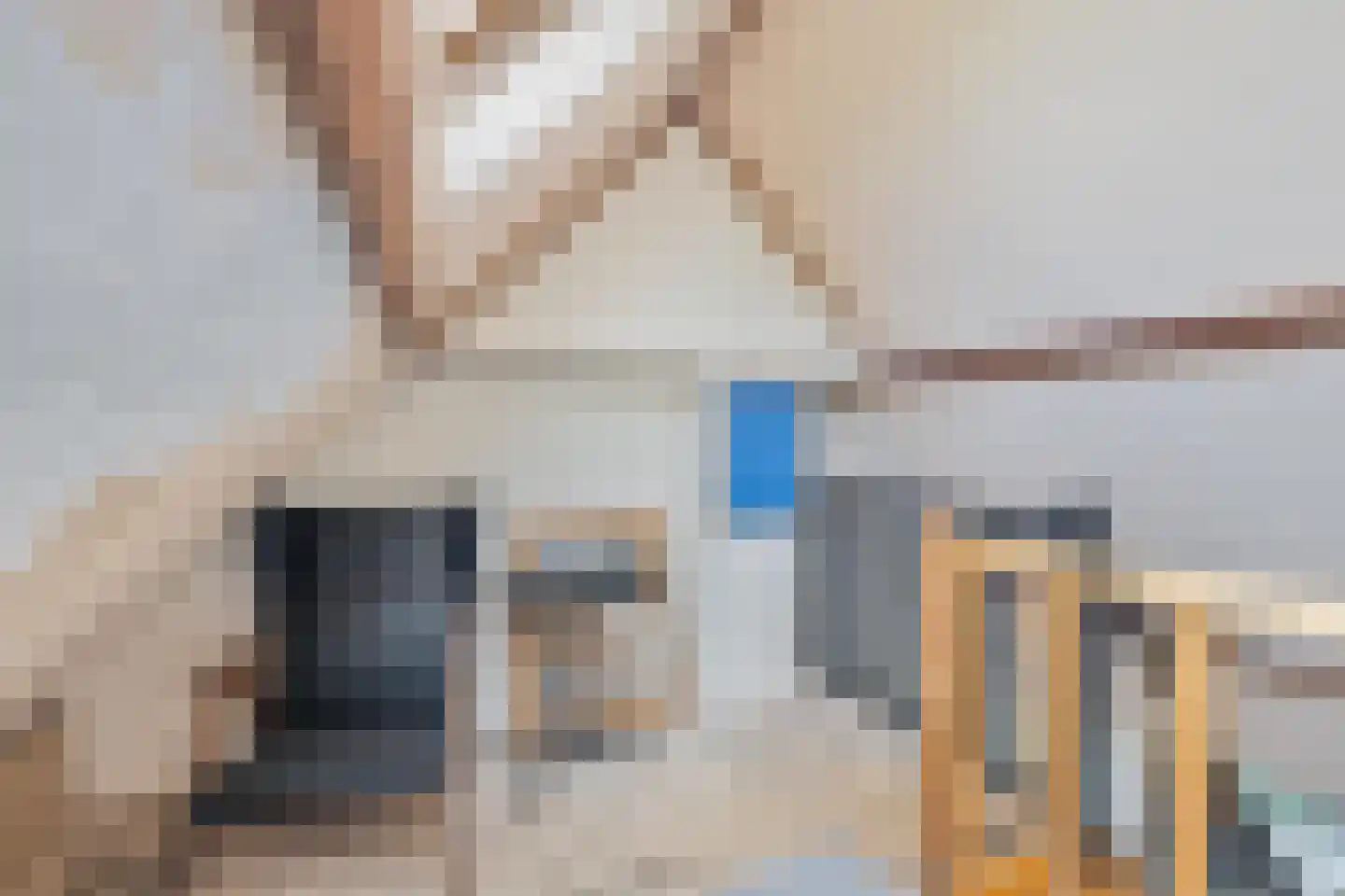 Prins Frederiklaan 46 Breda thumbnail 73