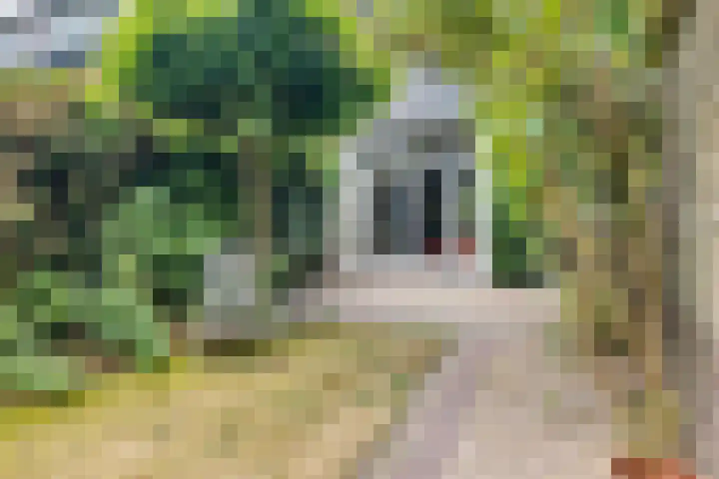 Prins Frederiklaan 46 Breda thumbnail 82
