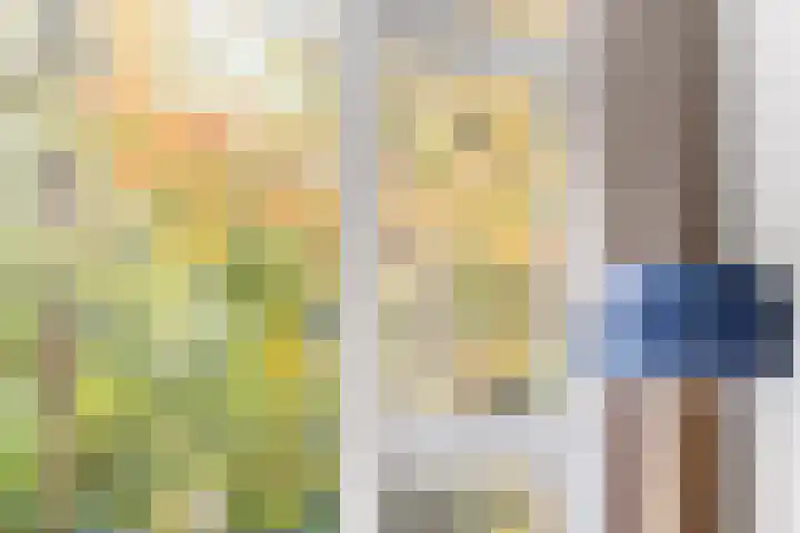 Prins Frederiklaan 51 B Amersfoort thumbnail 11