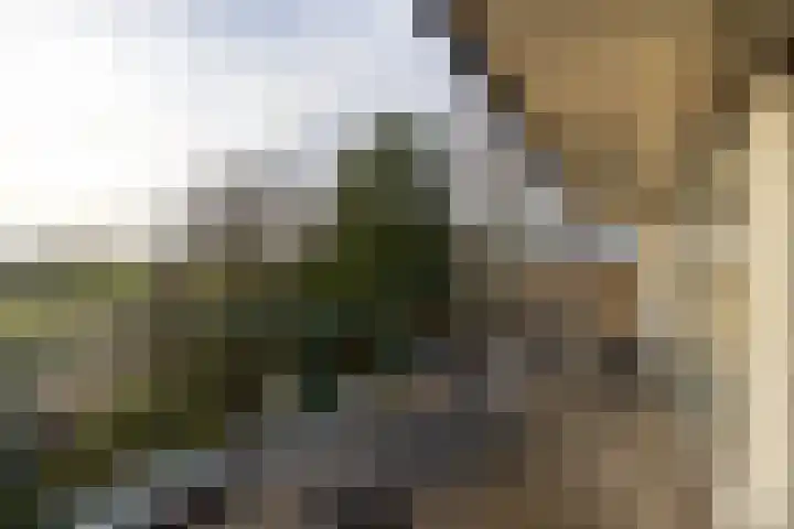 Prins Frederiklaan 6 f Leusden thumbnail 21