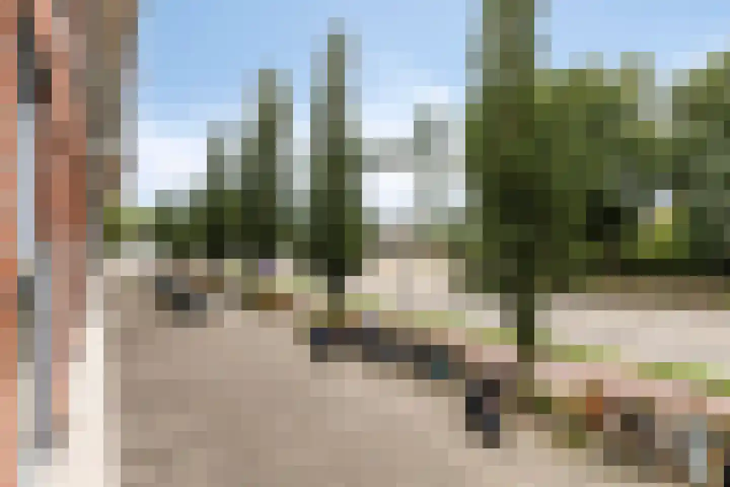 Prins Frederikplein 202 Rotterdam thumbnail 10
