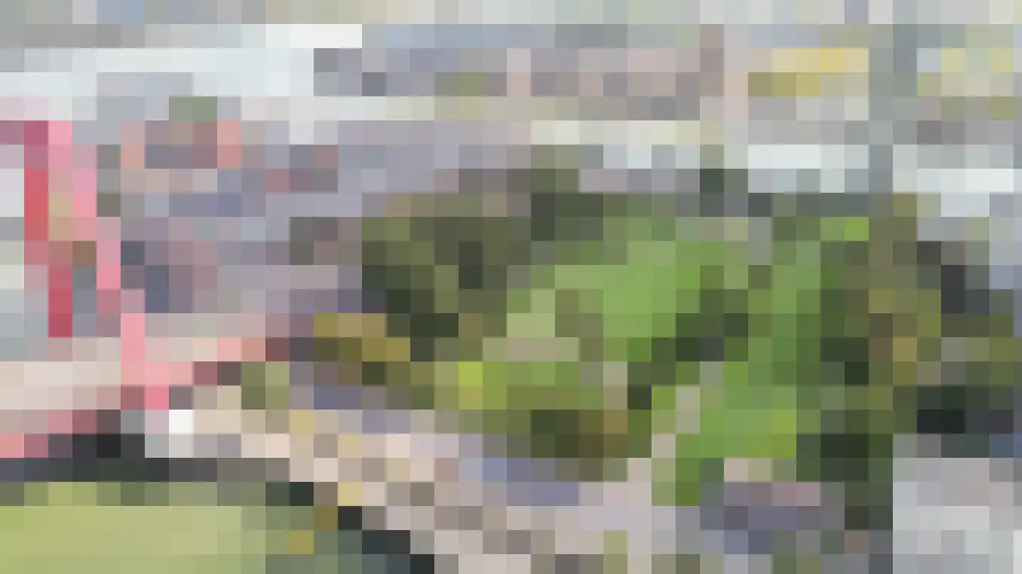 Prins Frederikplein 202 Rotterdam thumbnail 33