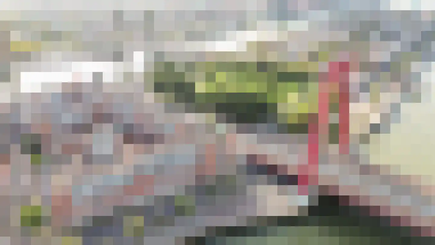 Prins Frederikplein 202 Rotterdam thumbnail 34