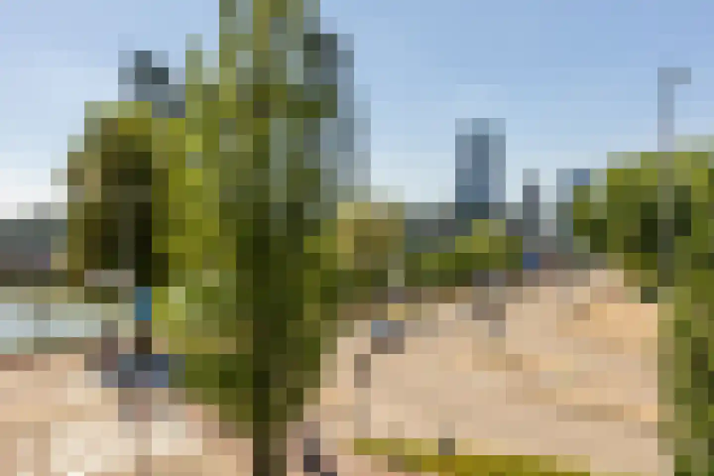 Prins Frederikplein 214 Rotterdam thumbnail 28