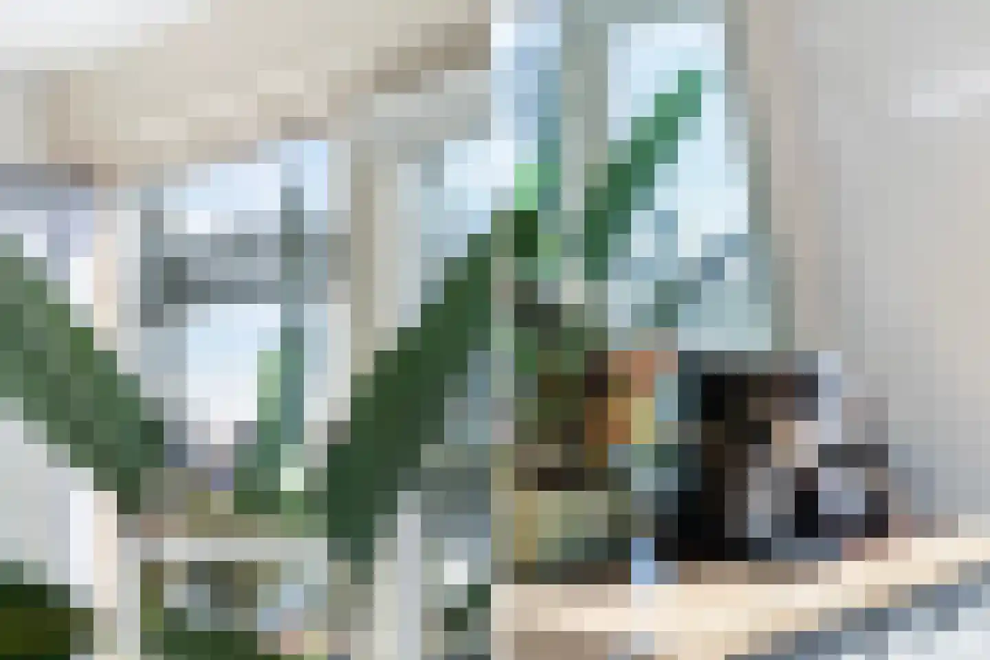 Prins Frederikplein 506 Rotterdam thumbnail 19
