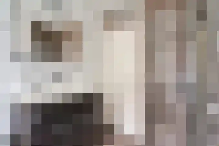 Prins Hendrikerf 9 Nunspeet thumbnail 22