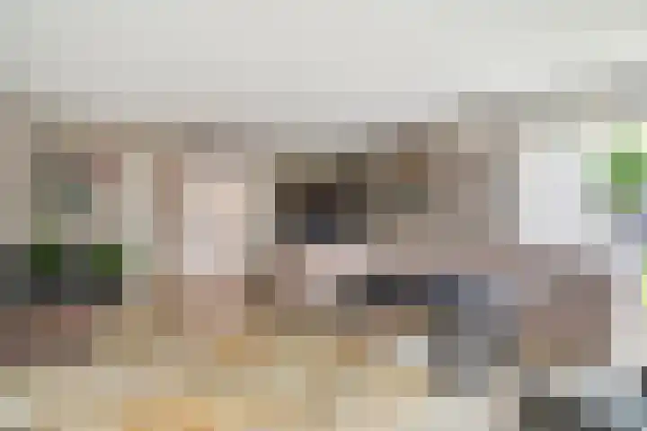 Prins Hendrikerf 9 Nunspeet foto 3