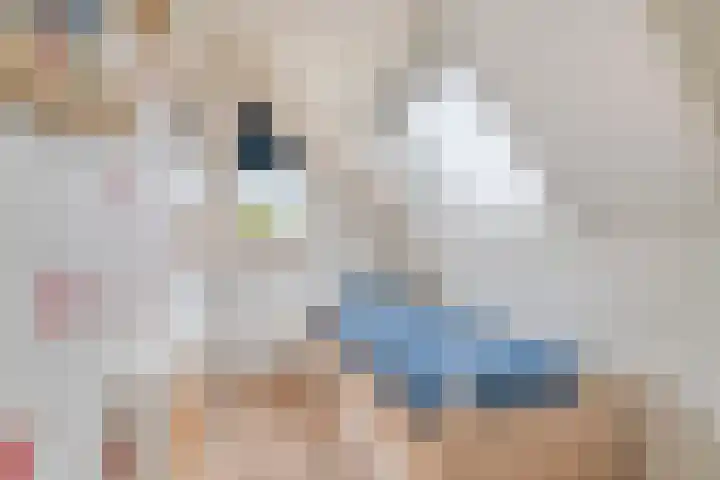 Prins Hendrikerf 9 Nunspeet thumbnail 31