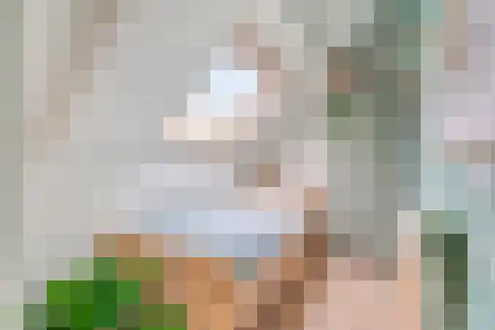 Prins Hendrikerf 9 Nunspeet thumbnail 32
