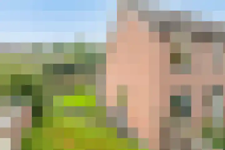 Prins Hendrikerf 9 Nunspeet thumbnail 34