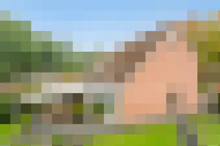 Prins Hendrikerf 9 Nunspeet thumbnail 35