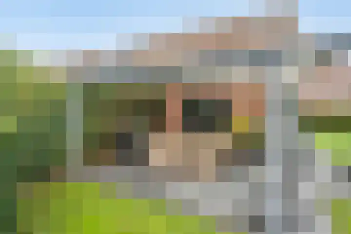 Prins Hendrikerf 9 Nunspeet thumbnail 37