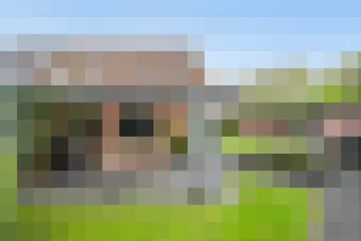 Prins Hendrikerf 9 Nunspeet thumbnail 38