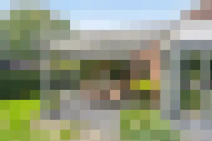 Prins Hendrikerf 9 Nunspeet thumbnail 39