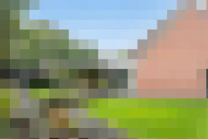 Prins Hendrikerf 9 Nunspeet thumbnail 41