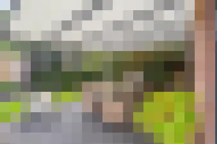 Prins Hendrikerf 9 Nunspeet thumbnail 46