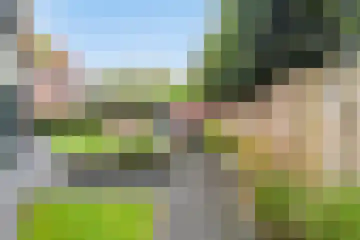 Prins Hendrikerf 9 Nunspeet thumbnail 49