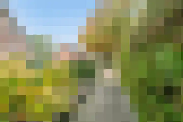 Prins Hendrikerf 9 Nunspeet thumbnail 54