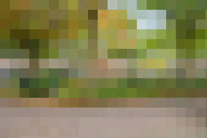 Prins Hendrikerf 9 Nunspeet thumbnail 55