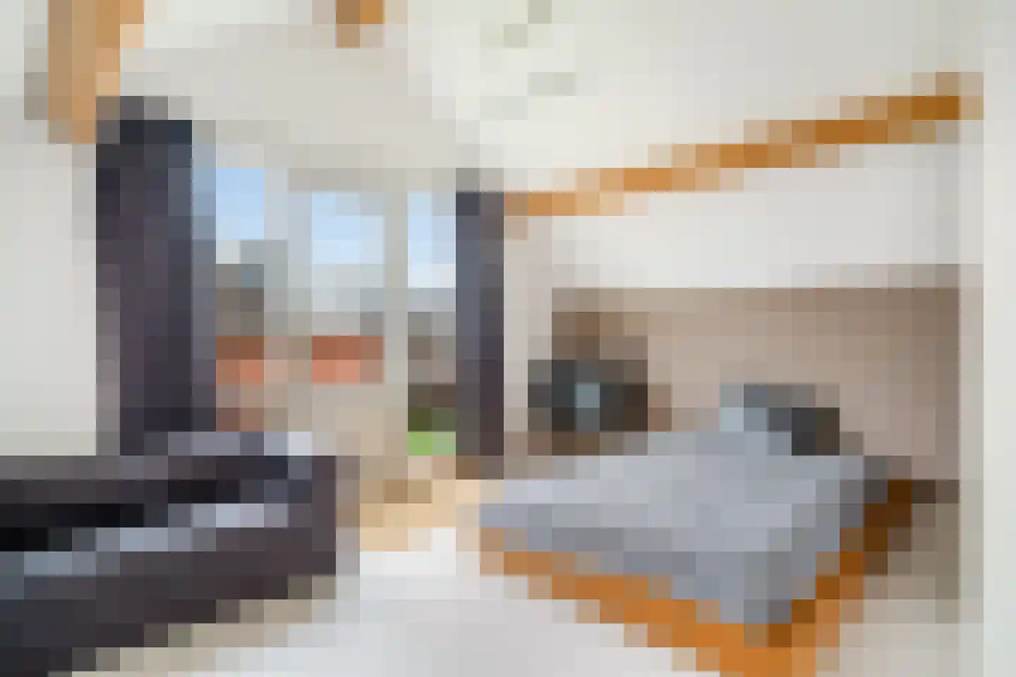 Prins Hendrikkade 123 G Rotterdam thumbnail 34