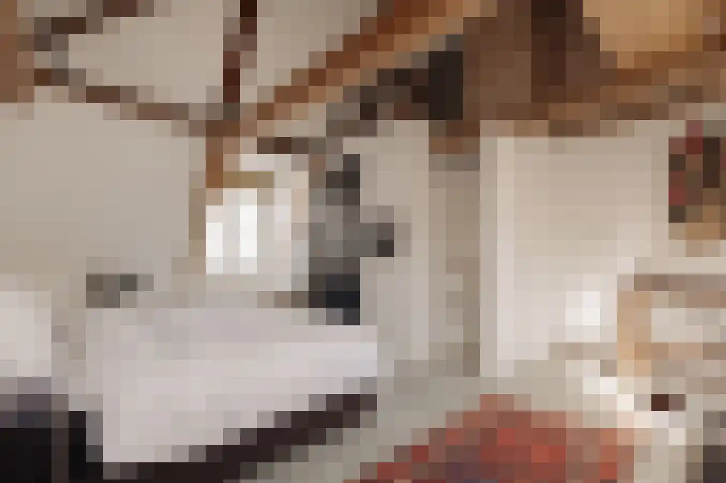 Prins Hendrikkade 124 G Amsterdam thumbnail 17