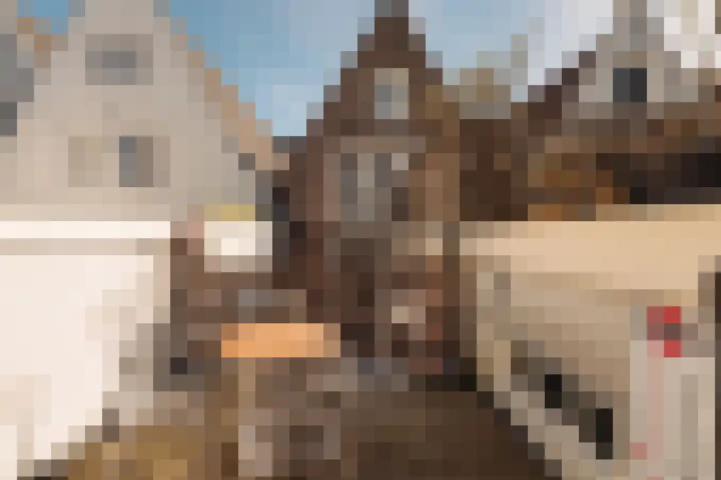 Prins Hendrikkade 124 G Amsterdam thumbnail 4