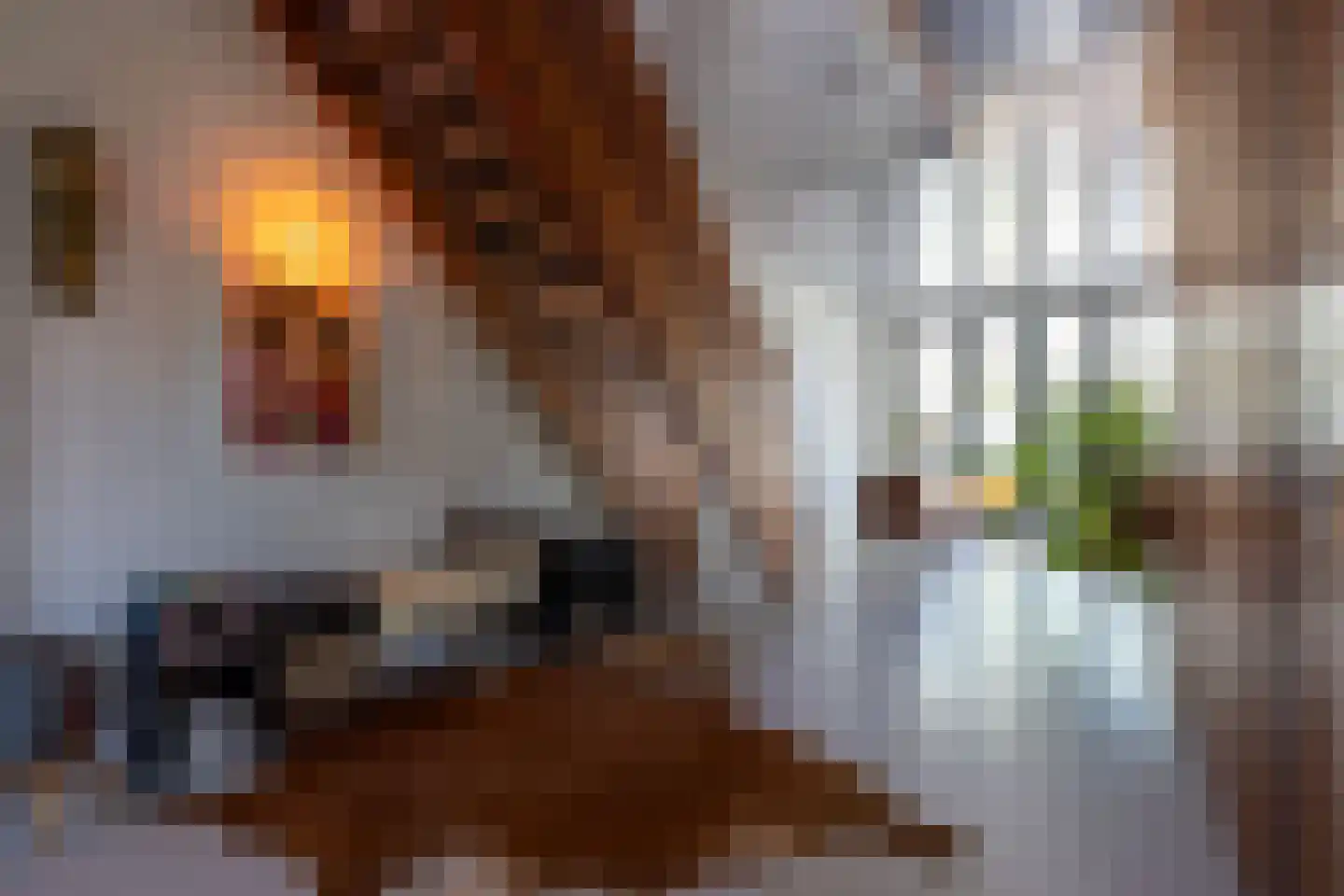 Prins Hendrikkade 146 A Rotterdam thumbnail 11